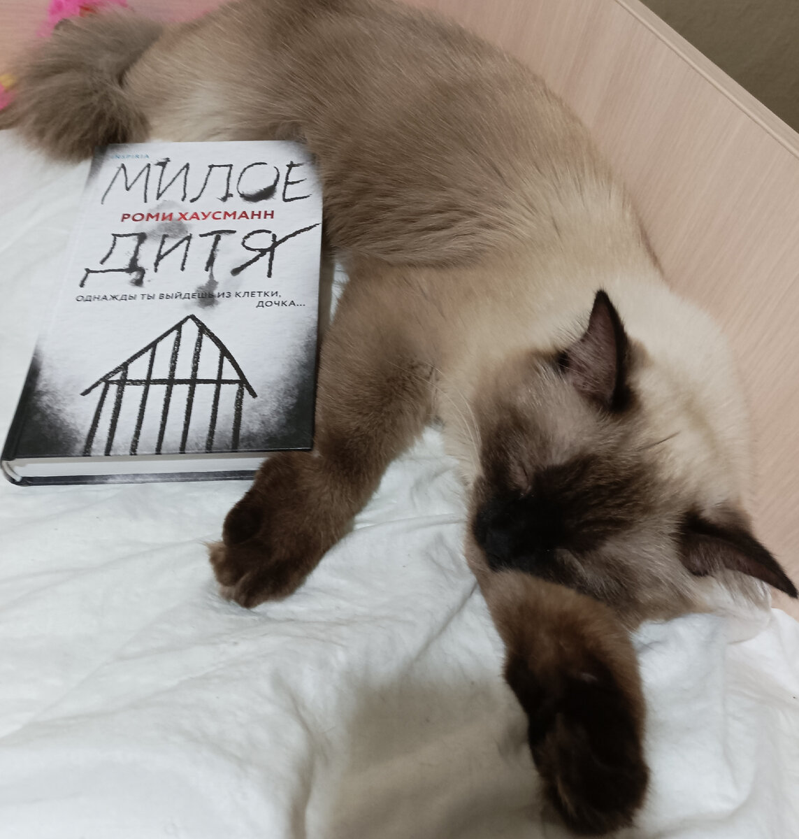 И снова читаемую книгу представляет Джессика...