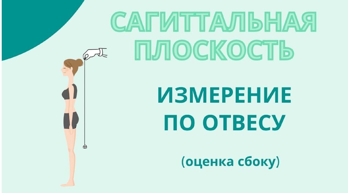 Сагиттальная плоскость — измерение по отвесу