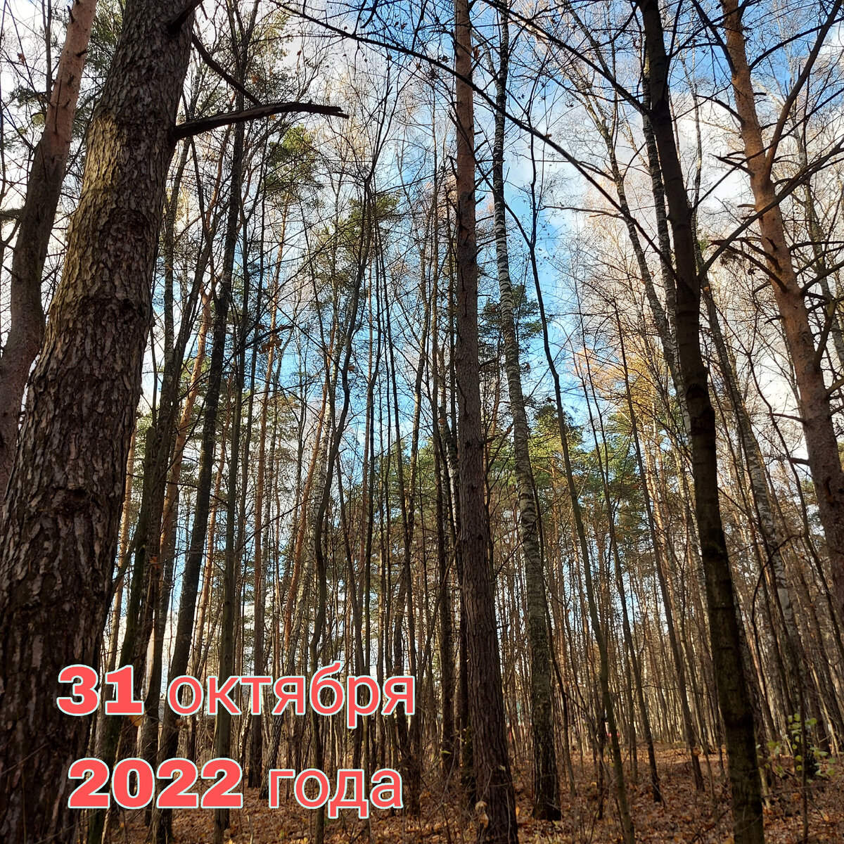 Сегодня у всех тоже замечательное настроение, ибо: