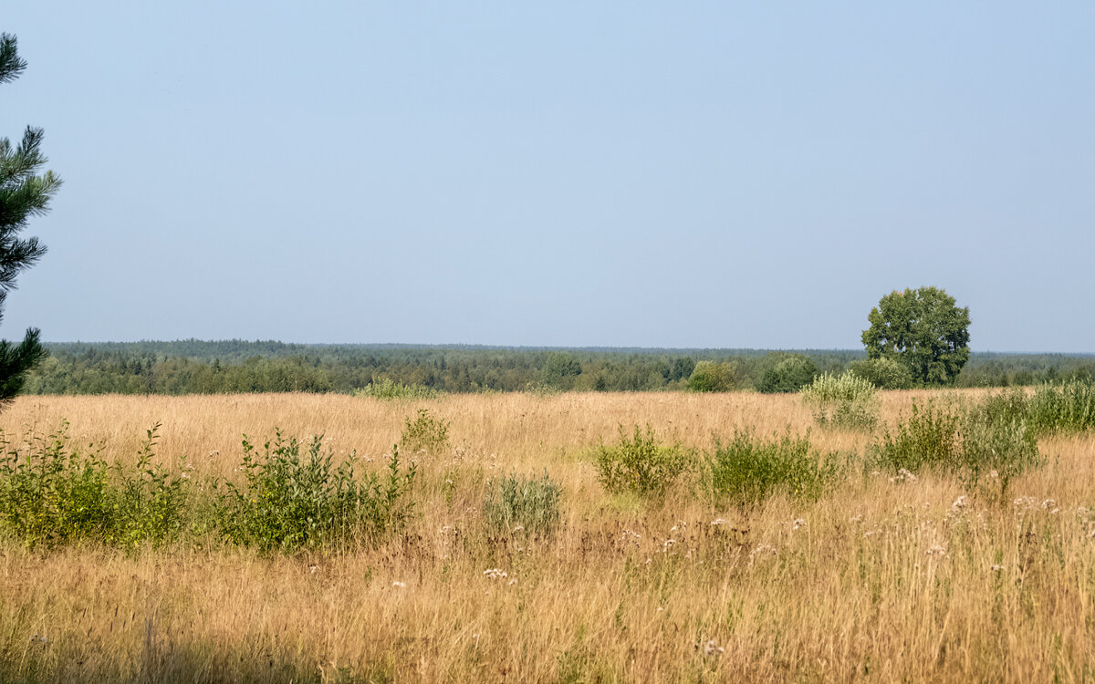 Путешествие по окрестностям села Коткишево