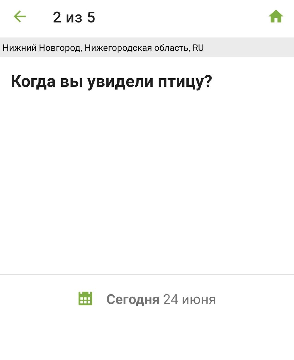 Справочник-определитель птиц в телефоне. Нашел бесплатное приложение |  Кафедра зоологии | Дзен