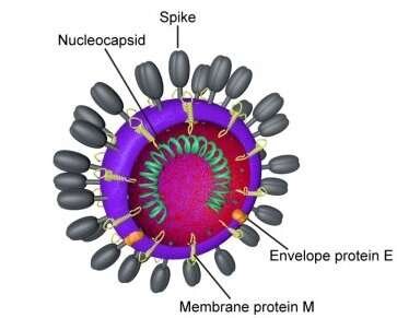 с сайта https://naked-science.ru/ 