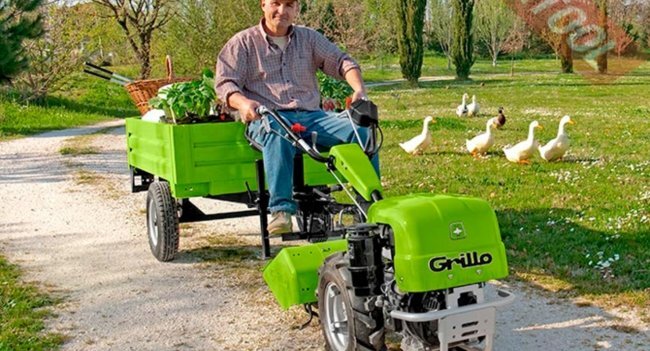 За нарушение требований можно получить наказание в виде штрафа в размере 1000 руб