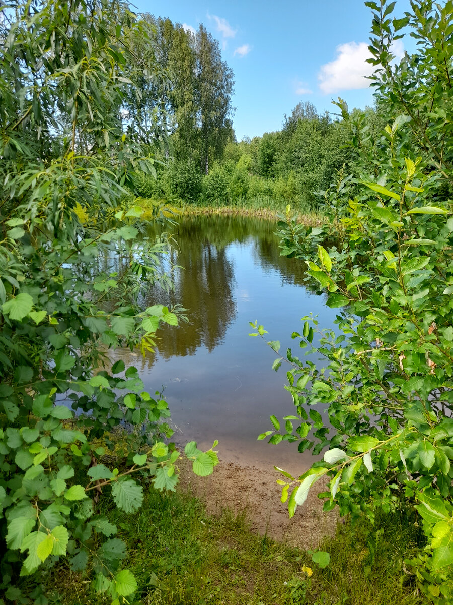 "Доброе утро, мир! Ты прекрасен!" Фото автора