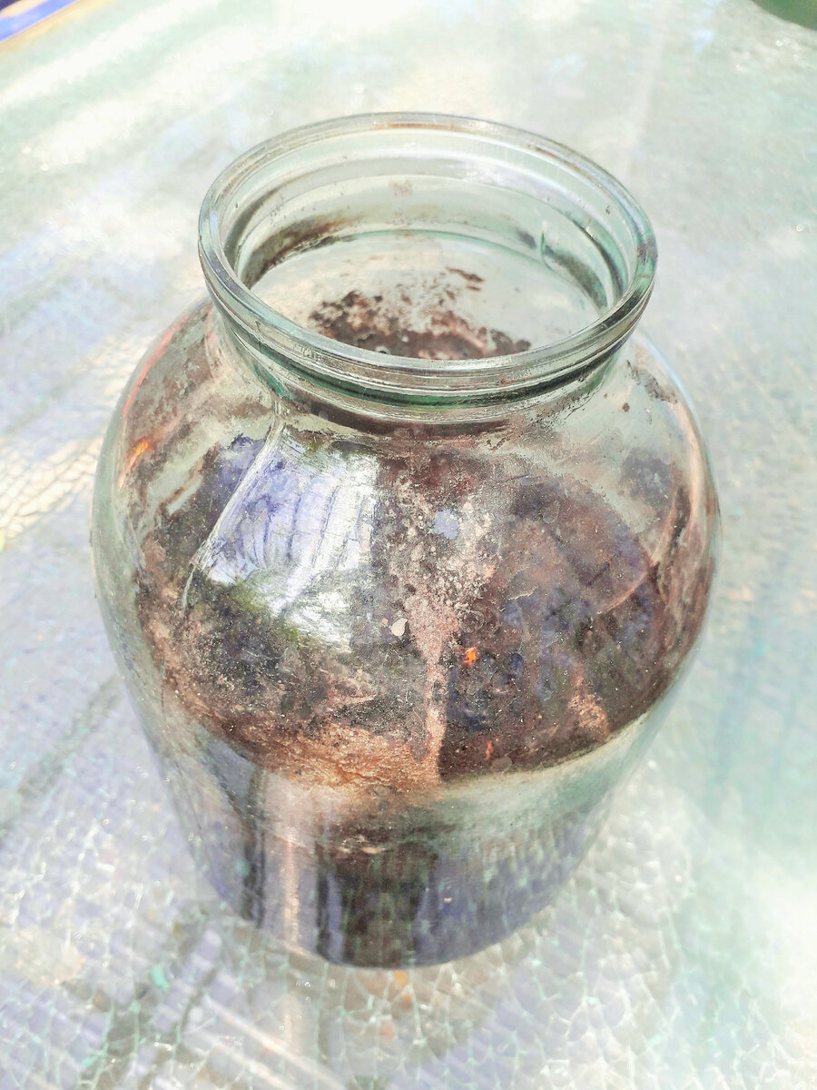 Маточный раствор гумата очень нравится моим огурчикам.