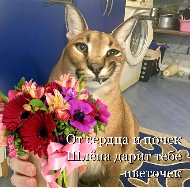 Спасибо, Шлепа)