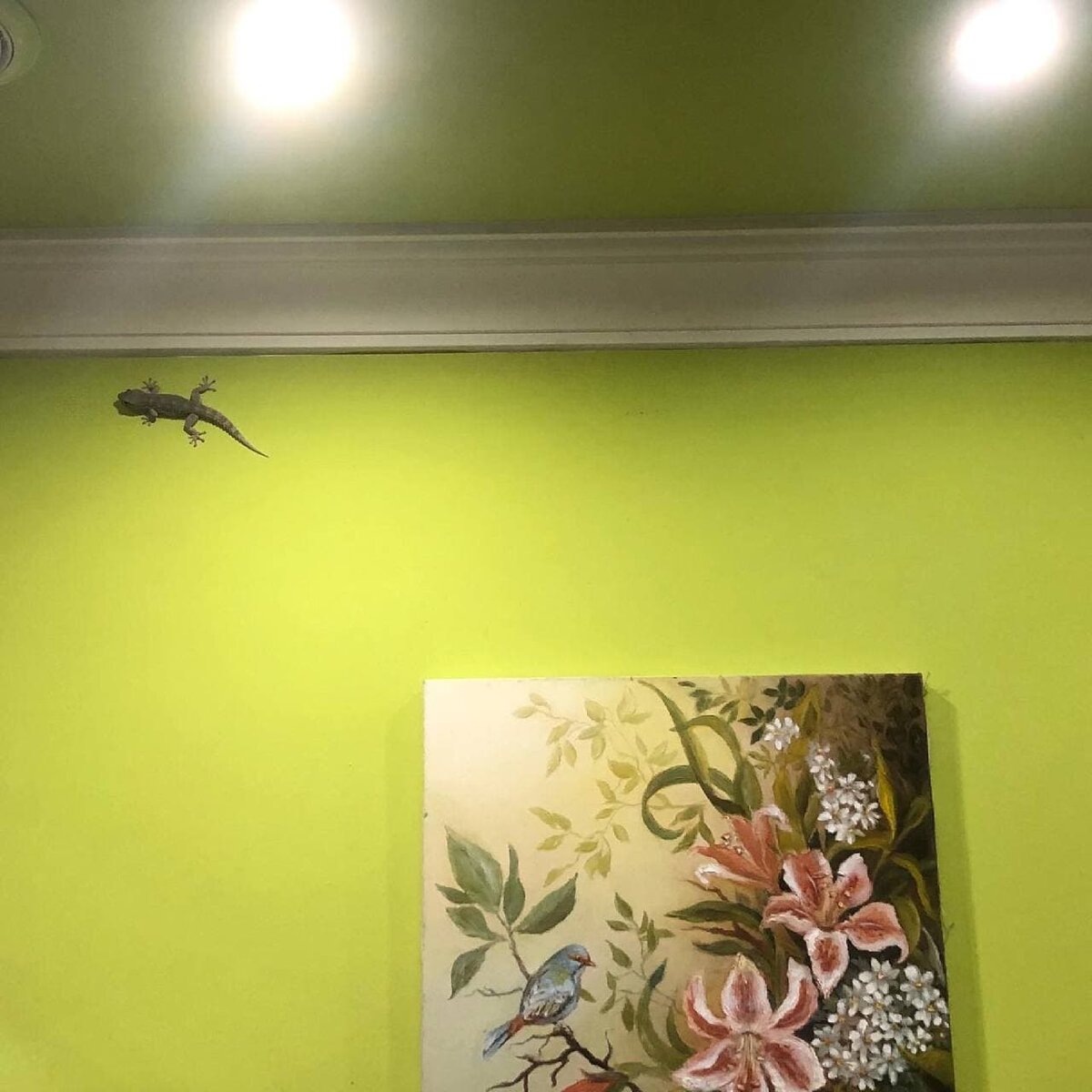 Однако либо Себа подрос, либо то уже какой-то Вася заполз