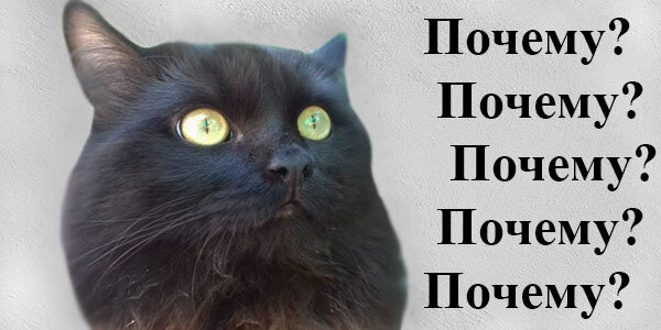 Как ему не верить?