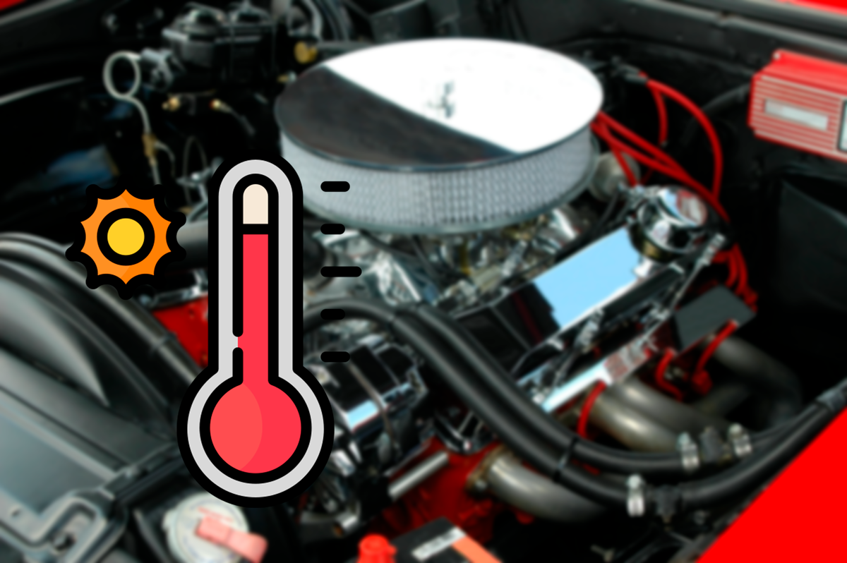 Фото взято из открытых источников