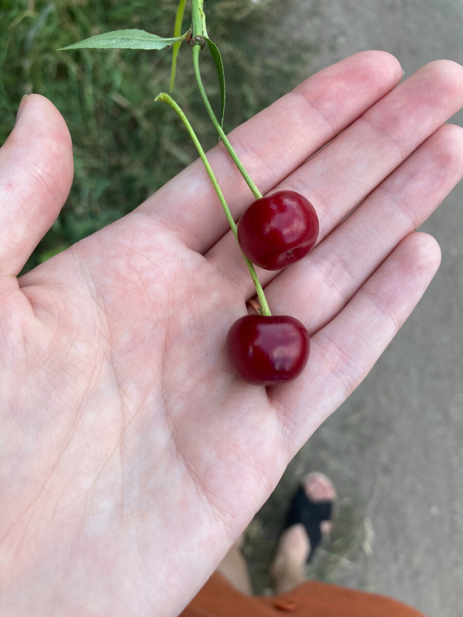Не бойтесь пробовать!