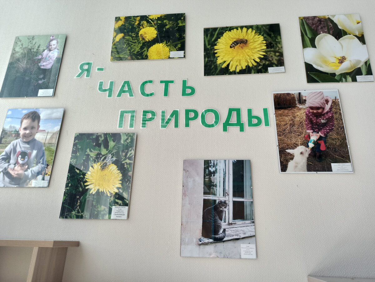 есть красивые композиции