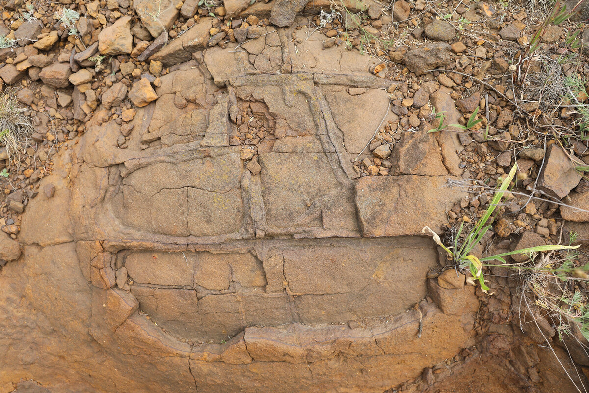 мокрая ольховка котовский район волгоградская область. село мокрая ольховка котовского района волгоградской области. мокрая ольховка волгоградская. мокрая ольховка яйца динозавров.