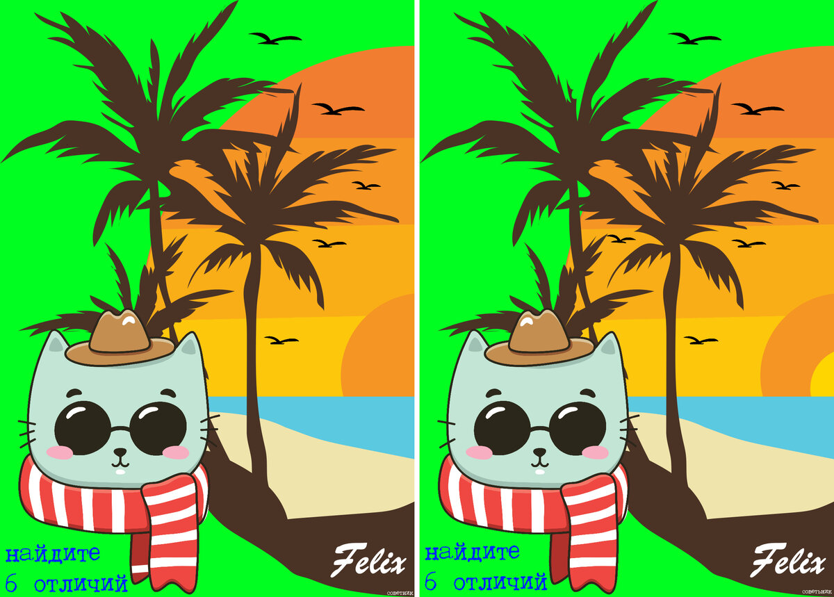 найдите 6 отличий на фото кота феликса