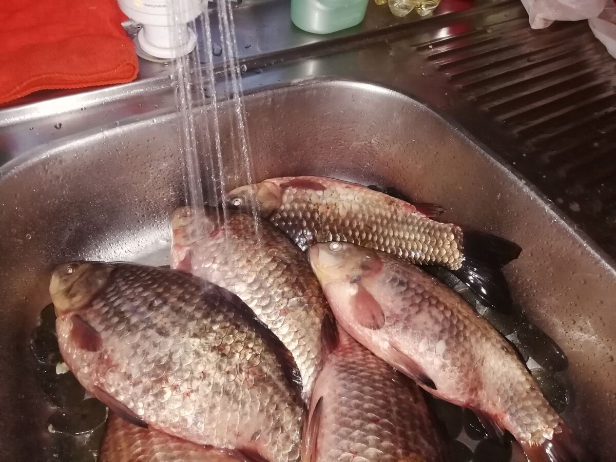 § 4. Технология приготовления блюд из рыбы