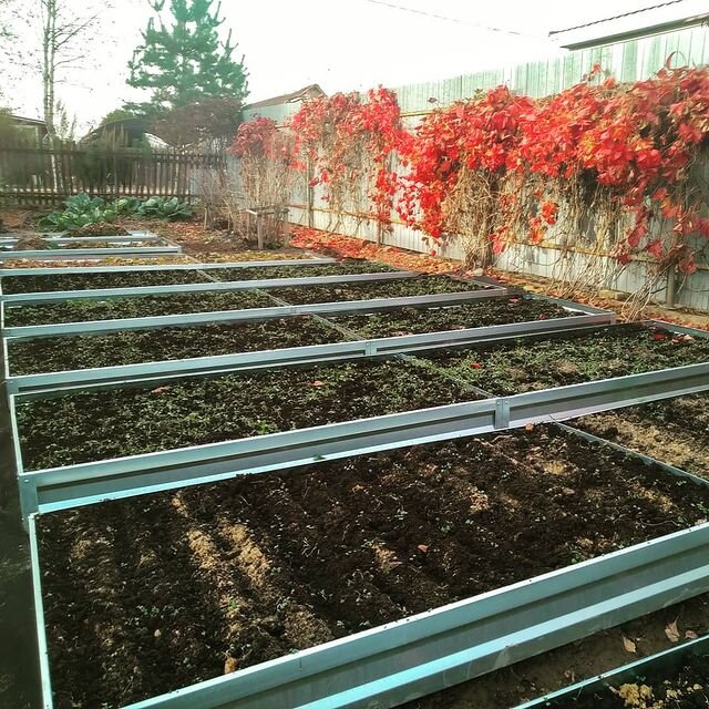 Осенние грядки