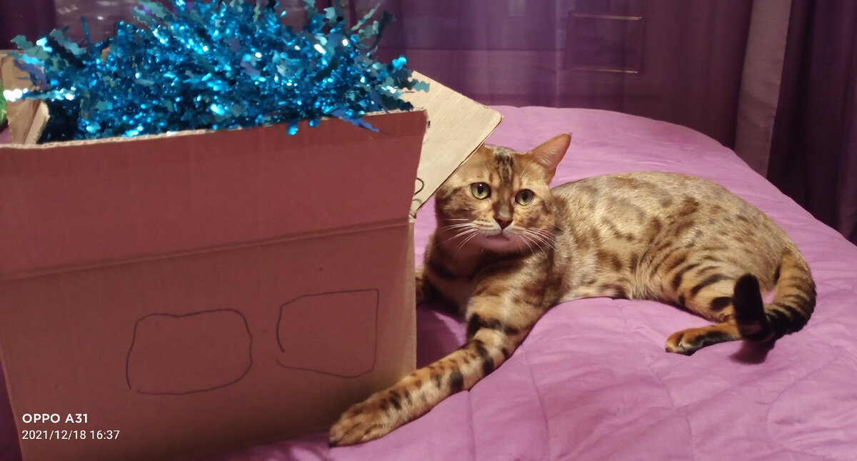 Так в чем же весь фокус?