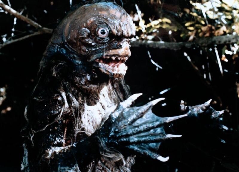 Фото из свободных интернет-источников