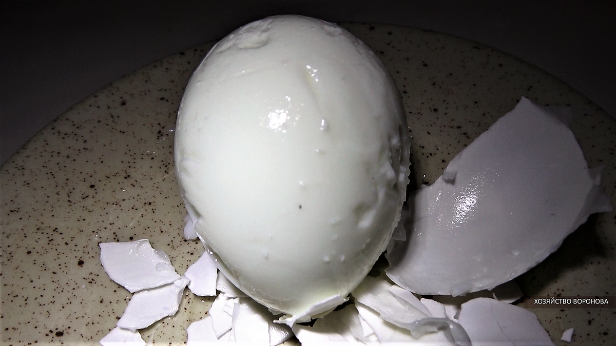 Однодневное яйцо от домашних кур сварено вкрутую и очищено от скорлупы