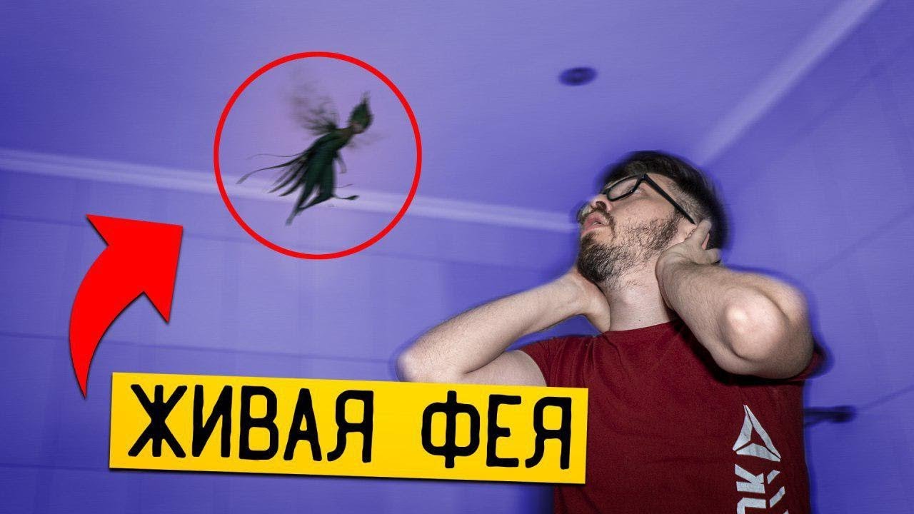 Существуют ли феи? Фото и видео доказательства на самом деле!