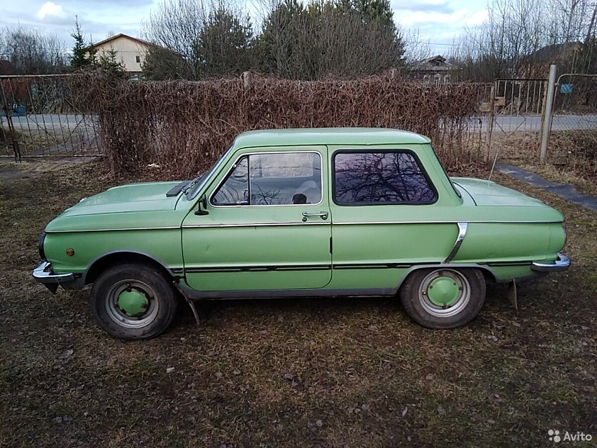 Вот каким Вжик был в объявлении.