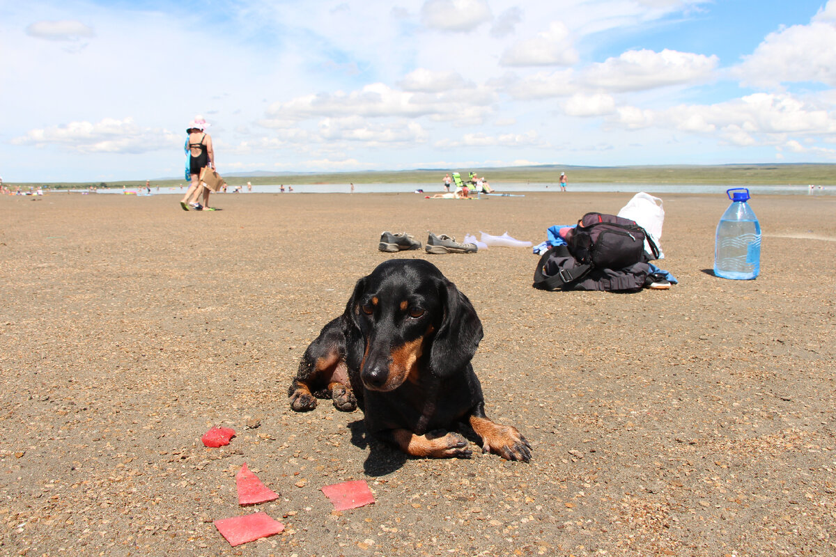 Отдых в р.Хакасия