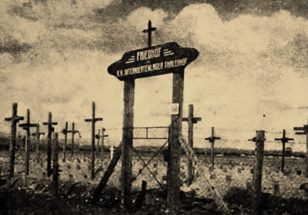 Кладбище австрийского концлагеря Талергоф, в котором в 1914-1917 подвергали мучениям и уничтожали около 30 000 карпатских русин и галицийских москвофилов. 