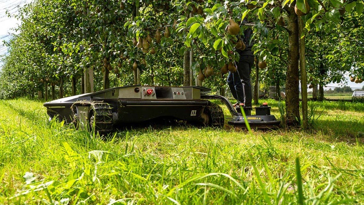 Внешний вид нового робота Scarabaeus. Фото: Официальный сайт Bruggli Industrie