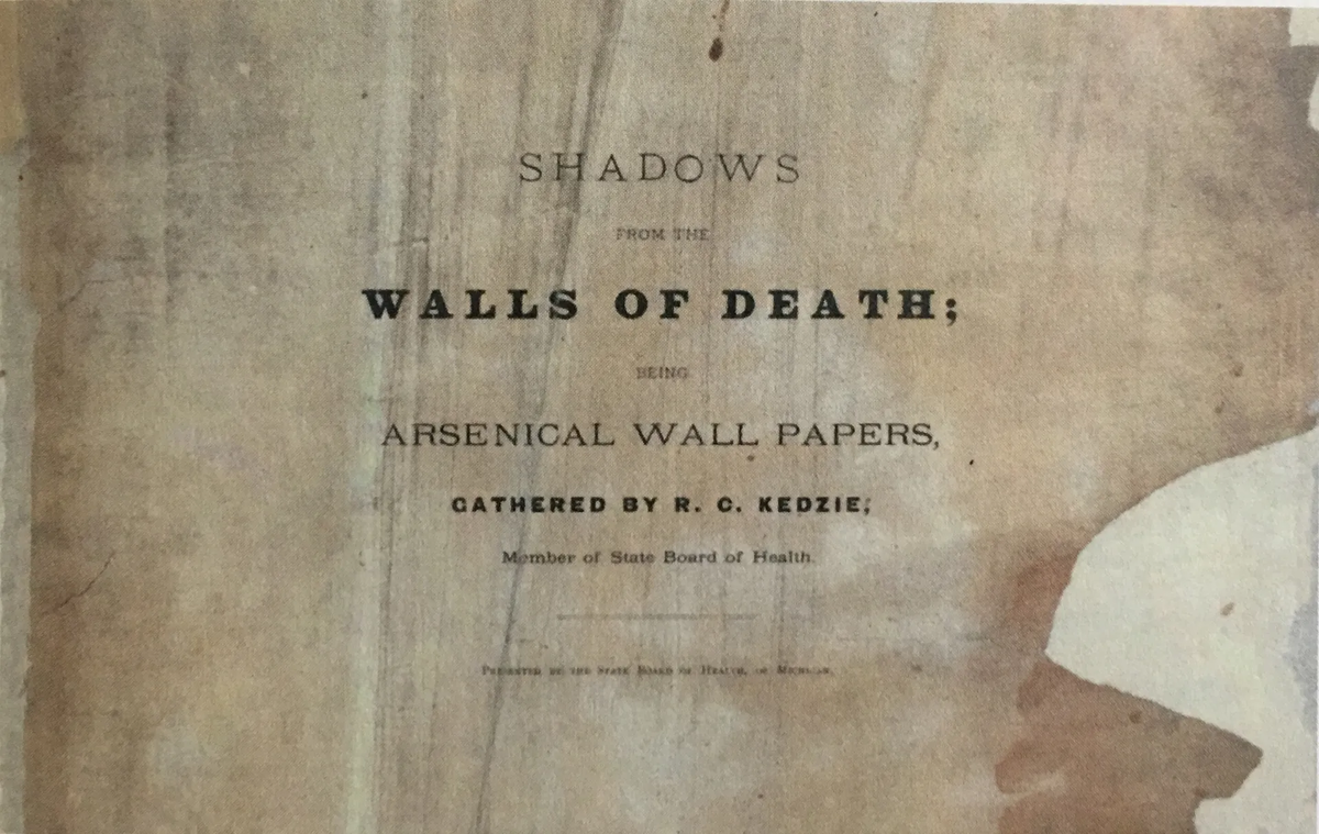 Первая страница книги "Shadows from the Walls of Death: Facts and Inferences" by Dr. Robert C. Kedzie