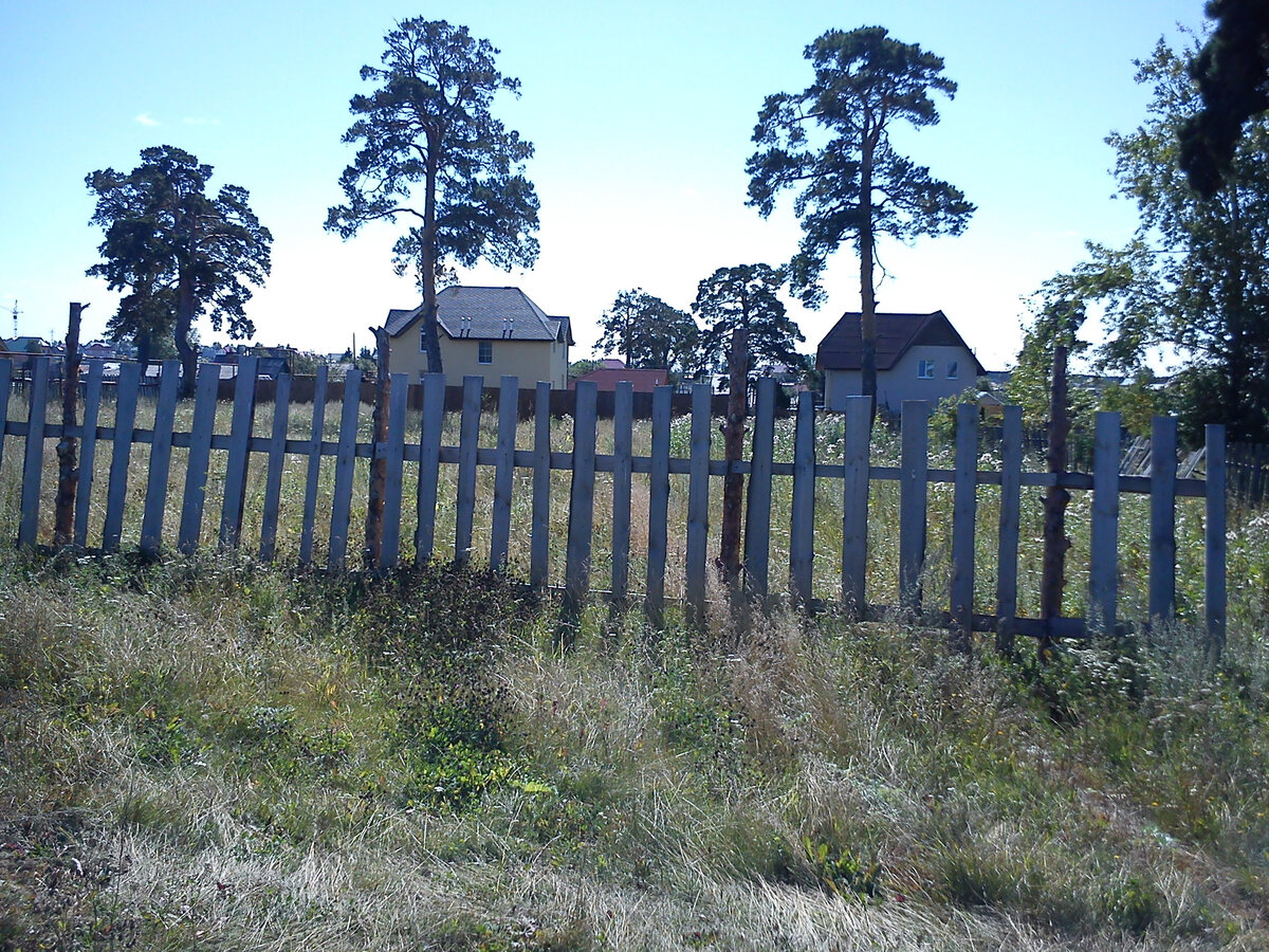 Вот так выглядел наш участок в 2011 году