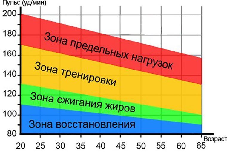 Наглядно о пульсовых зонах - с поправкой на возраст. Фото из открытых источников. 