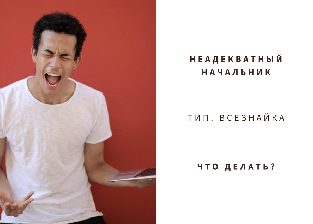 Неадекватный начальник. Тип «Всезнайка»