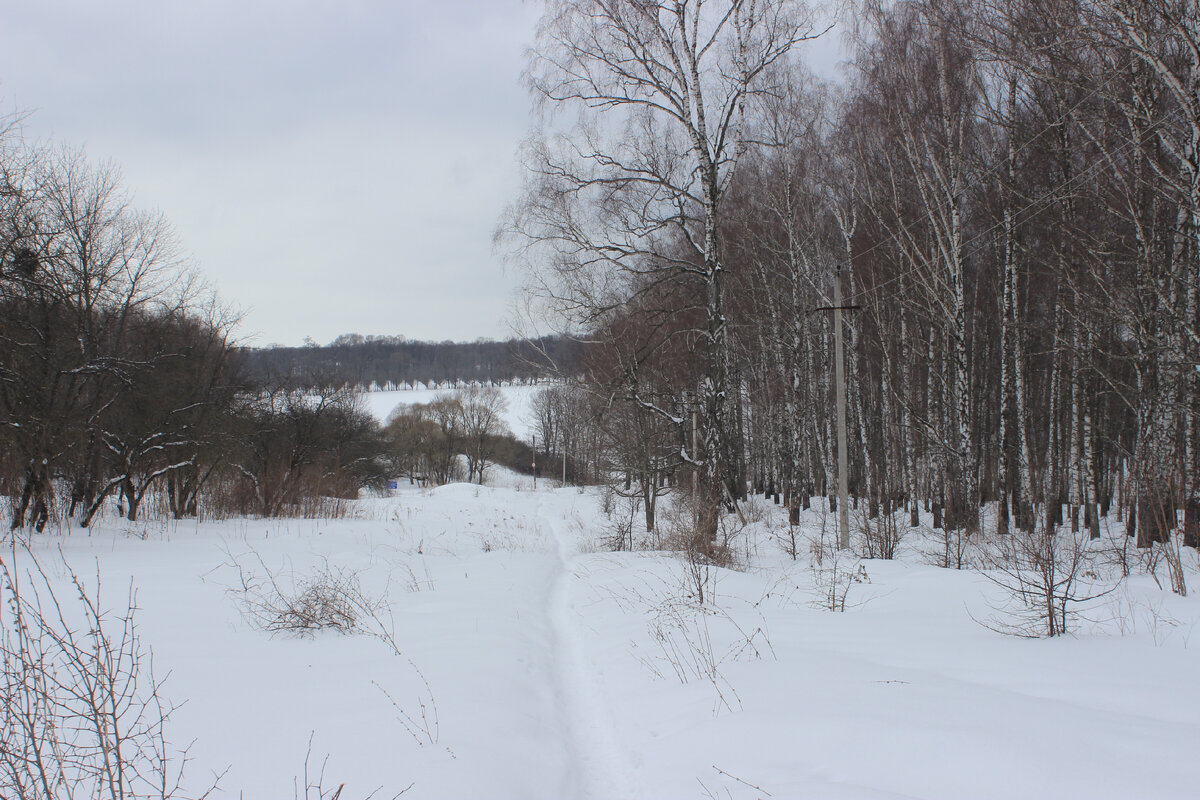 Дорога до Ясной Поляны
