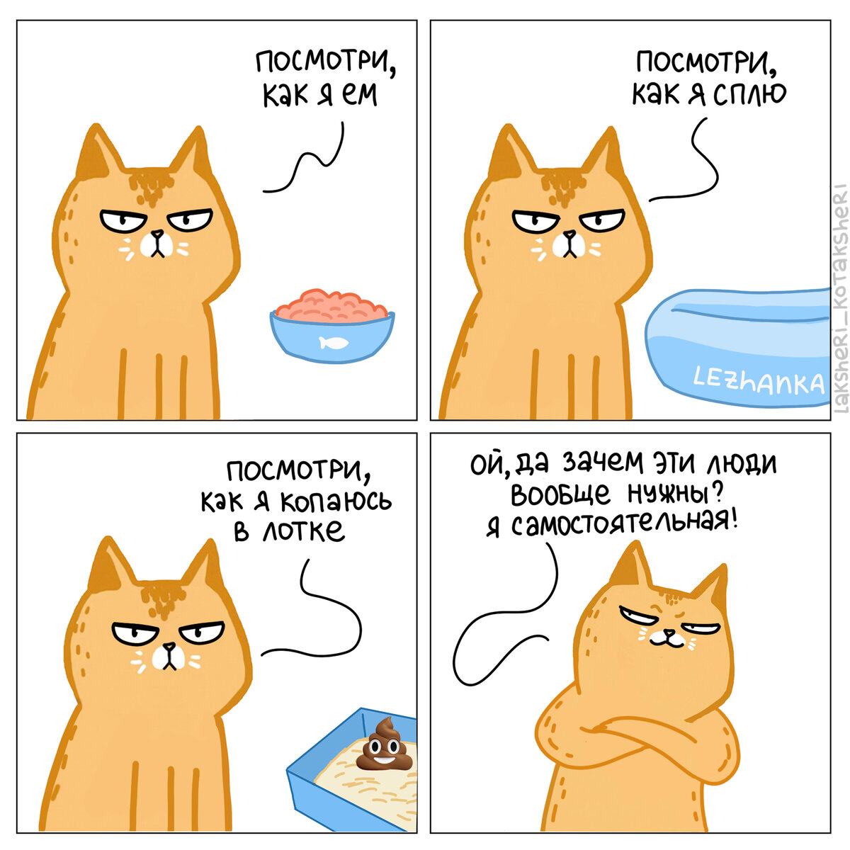 Котики все такие независимые... но только для того, чтобы человек почувствовал себя нужным 🤣