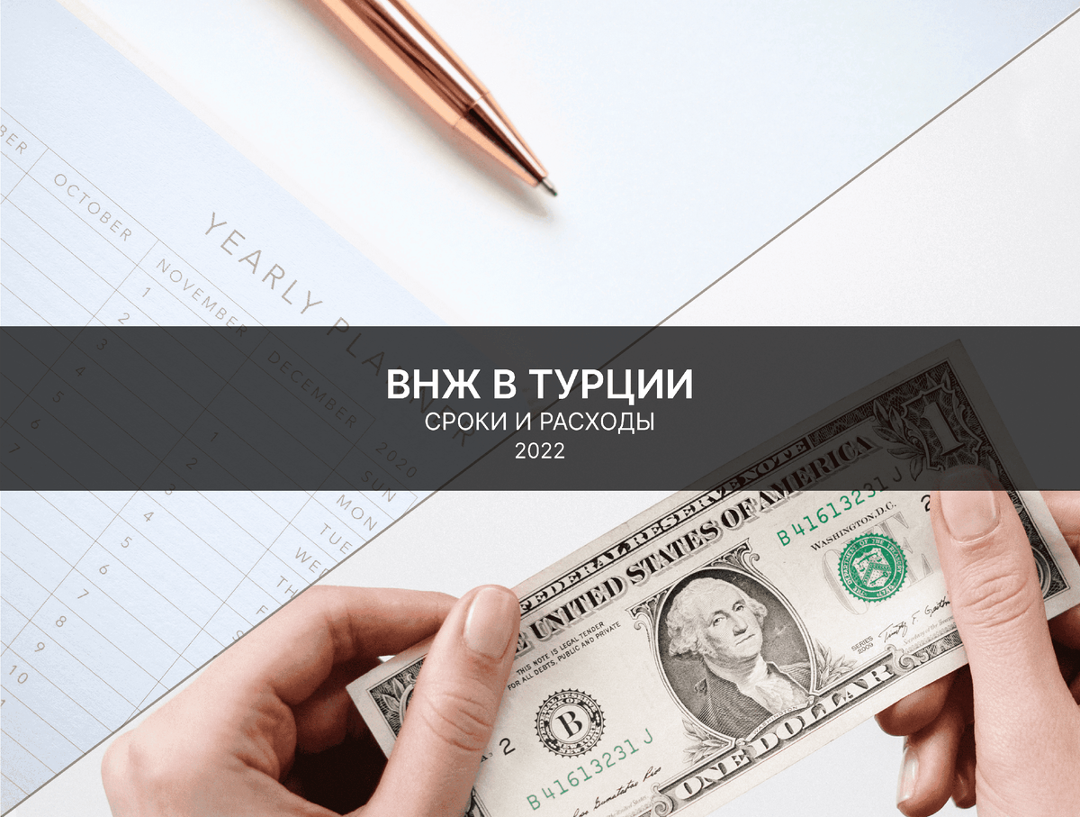 ВНЖ в Турции - Подробно про сроки оформления документа и расходы