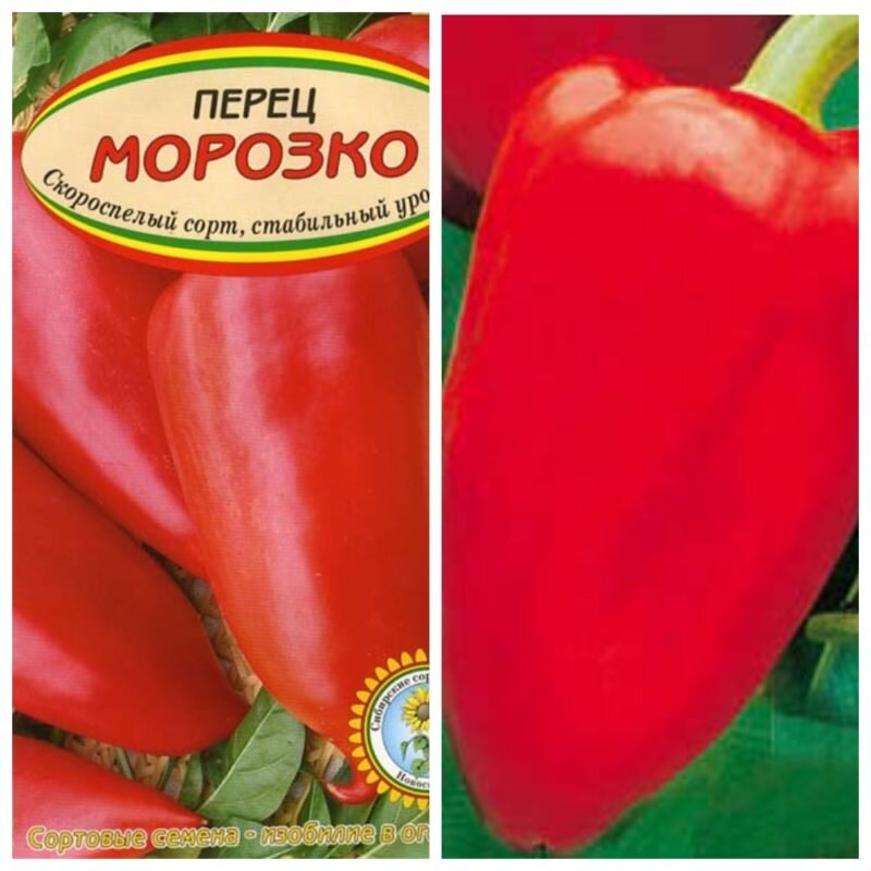 Уральский дачник / Перец сладкий Морозко (УД) (ранний,конусовидный,красный,толщи