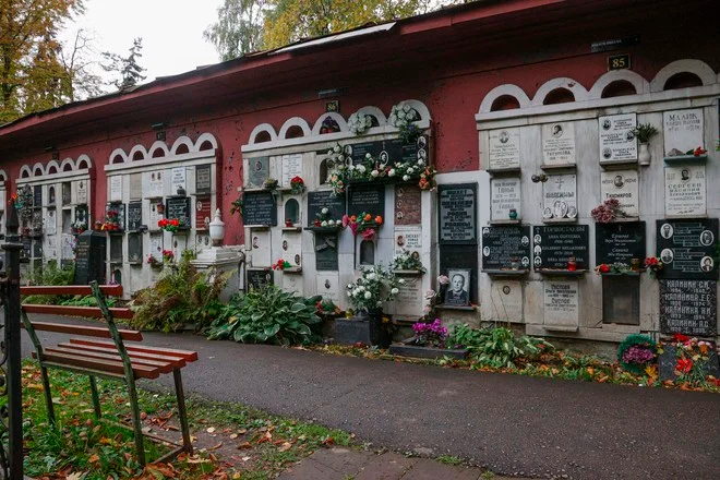 Источник: Сергей Булкин/NEWS.ru