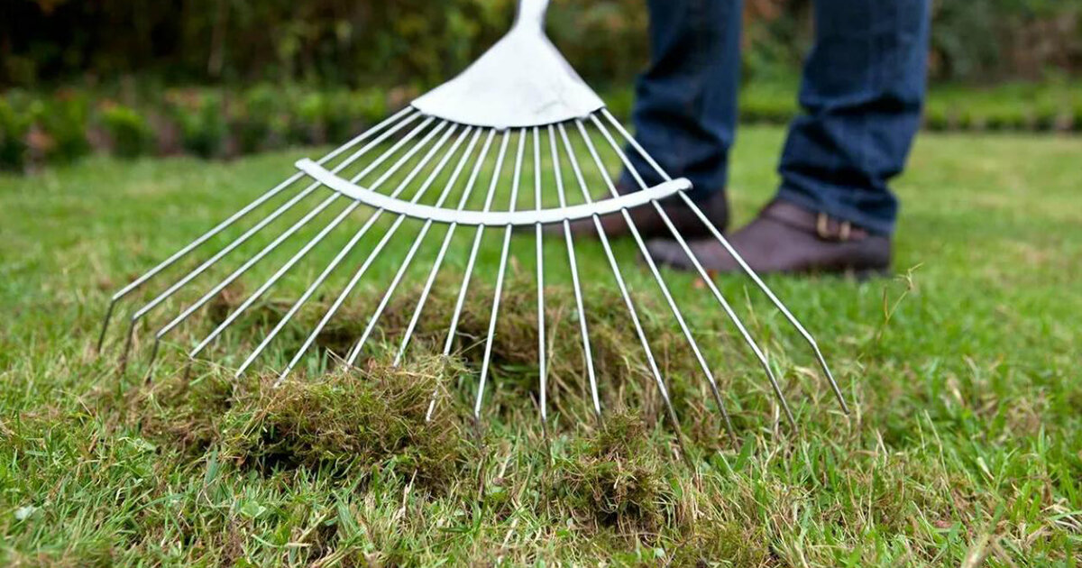 Вычесывание газона