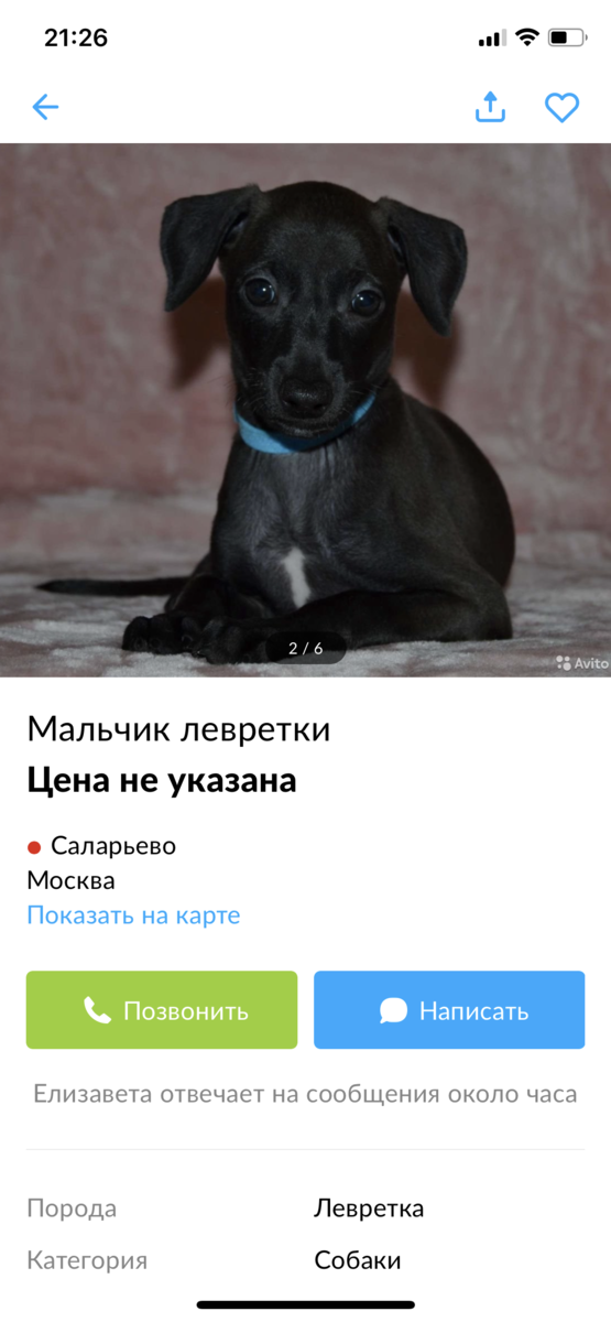 Фото Жени на авито