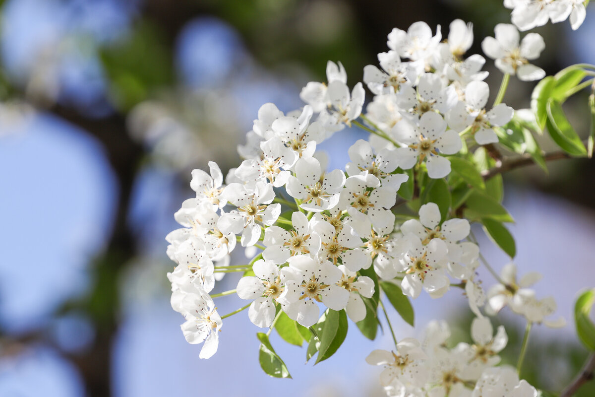 Фото: Тульская служба новостей 