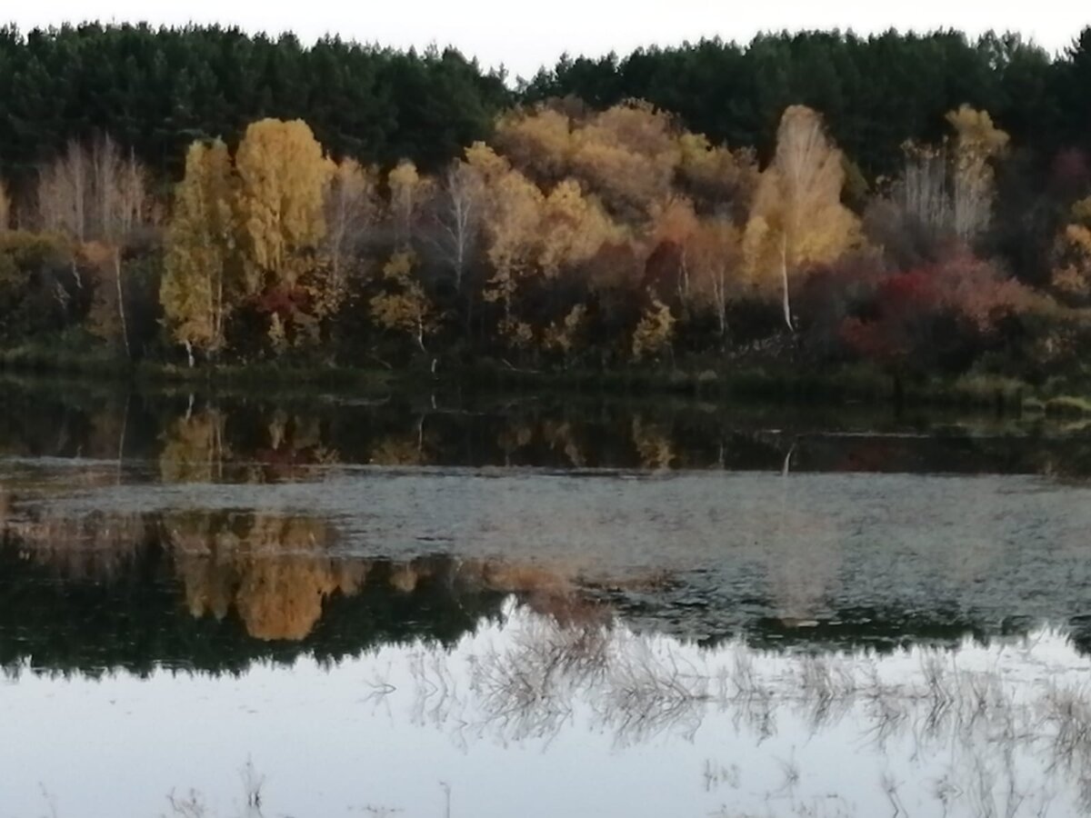 Фото представителя канала 