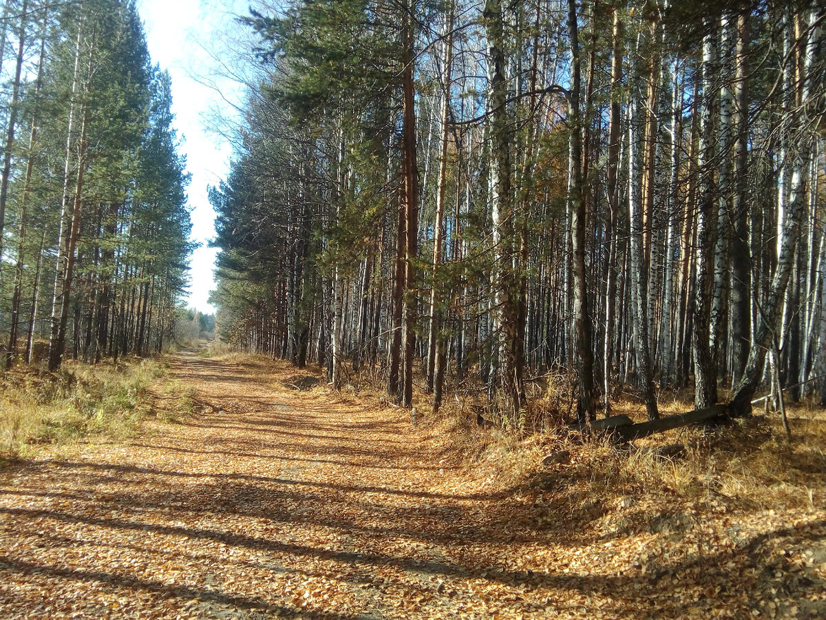 В лесах у Становского мраморного карьера
