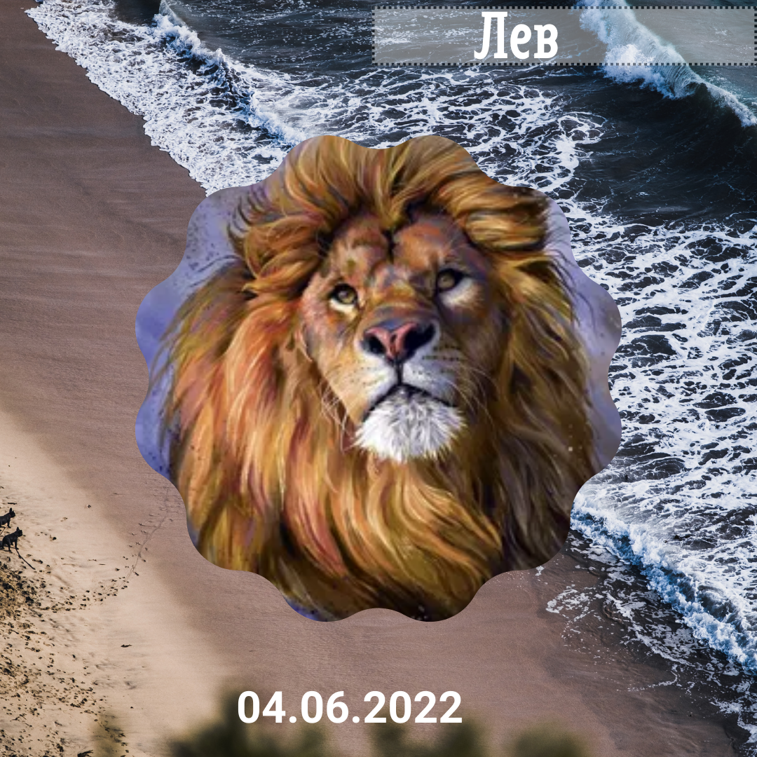 Лев - 04.06.2022