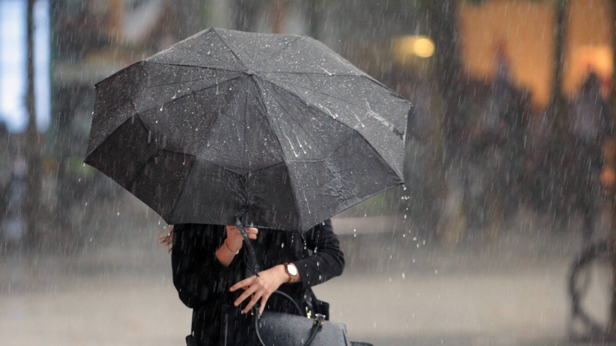 Фото из открытых ресурсов интернета