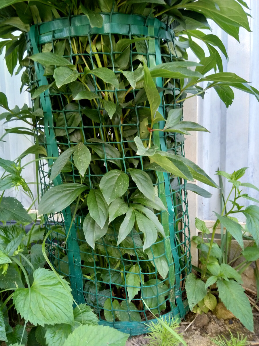 Вполне компактно получилось.