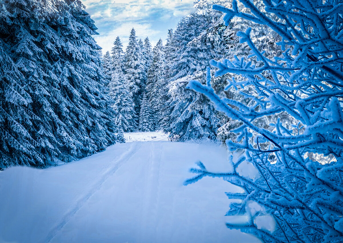 Из бакинского тепла окунулся в уральские морозы. Композиция автора.