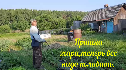Из москвы в деревню или пенсионеры. Я живу в деревне. Пенсионеры на селе. Деревня Москва. Полит грядки в деревне