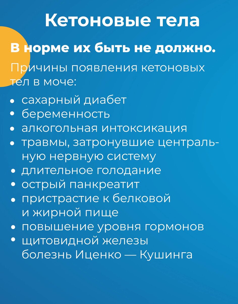 Общий анализ мочи (ОАМ). Расшифровка главных показателей | МобилМед - твоя  лабораторная станция! | Дзен