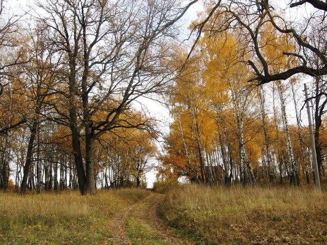 фото Г.Ромадина