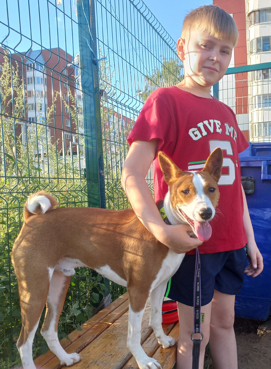 Мы занимаемся на площадке. Фото автора 