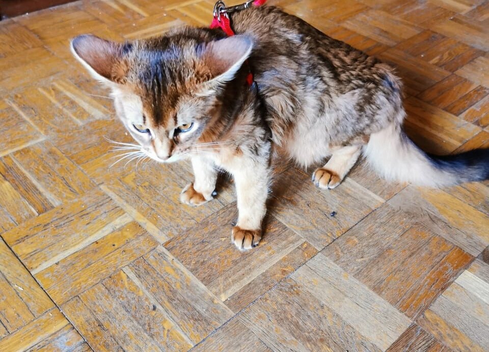 Фото из личного архива автора.